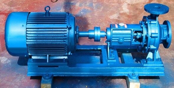 绿巨人视频黄APP在线观看